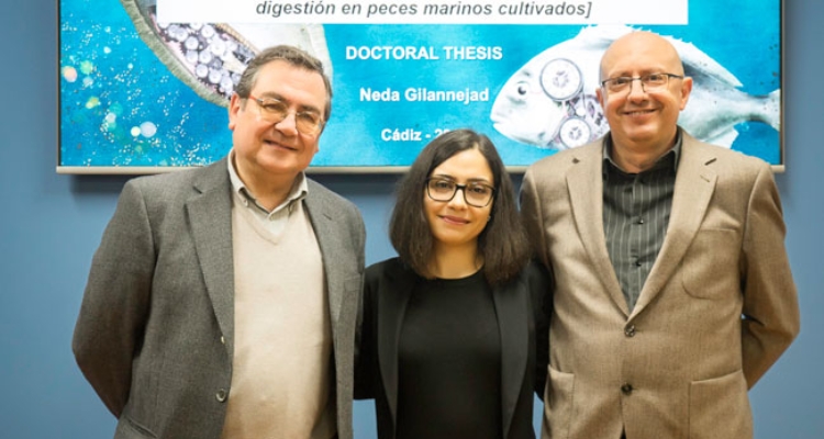neda-gilannejad-icman-csic