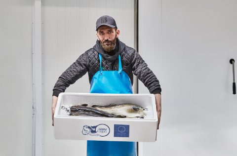 NORCOD, bacalao en caja