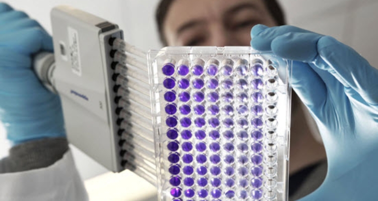 Premio Nutreco Jóvenes Investigadores 2020