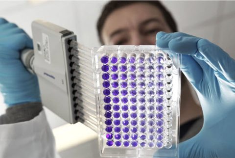 Premio Nutreco Jóvenes Investigadores 2020