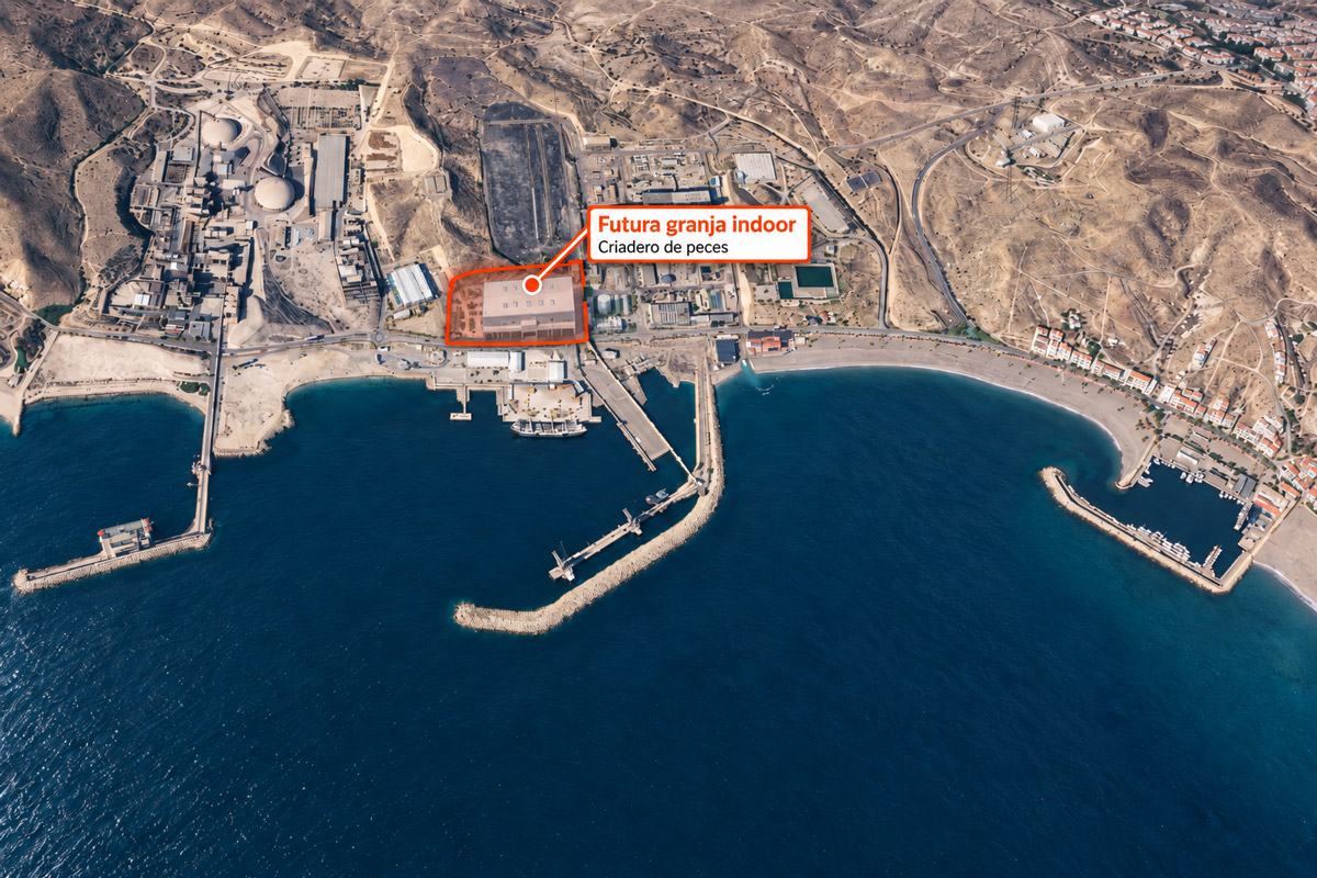 Criadero seriola Ocean Aquaculture Hatchery, Almería