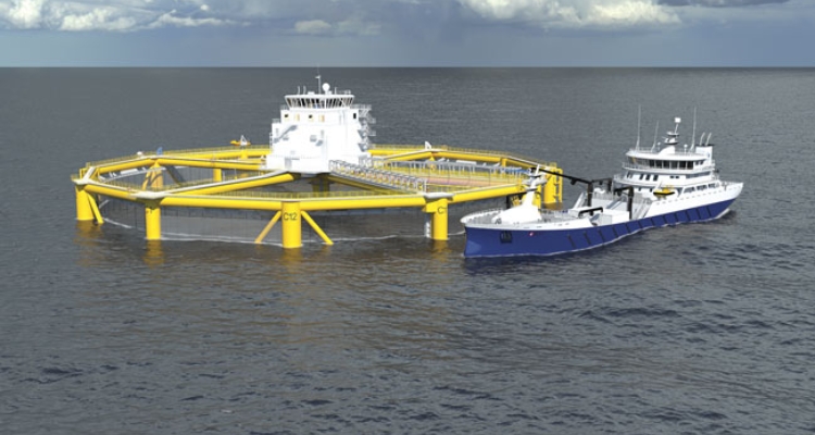 ocean-farming-salmar