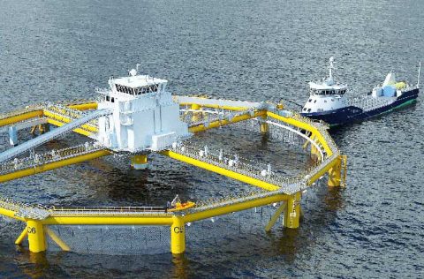 Ocean farming SINTEF