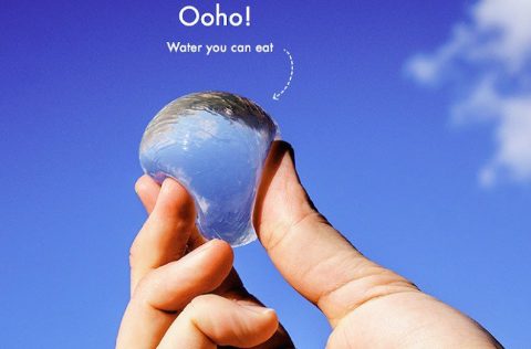 Oohol, envases de algas para sustituir los plásticos