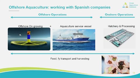Open Ocean Andalusia. Instalaciones Previstas