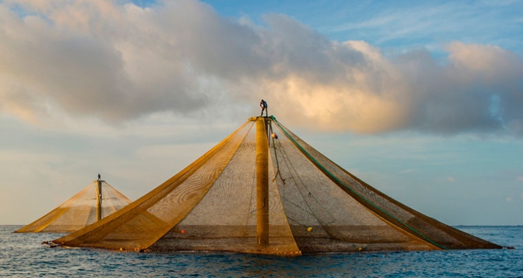 openblue-jaula-sumergible-cobia-760