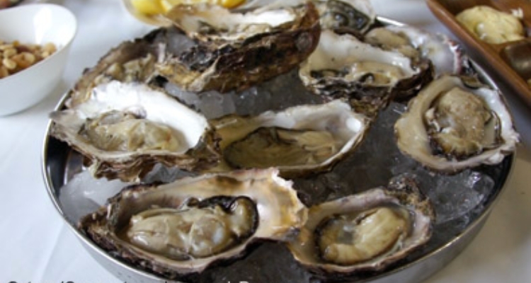 Ostra - Crassostrea gigas