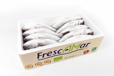 packaging-pescado-ecologico-frescamar