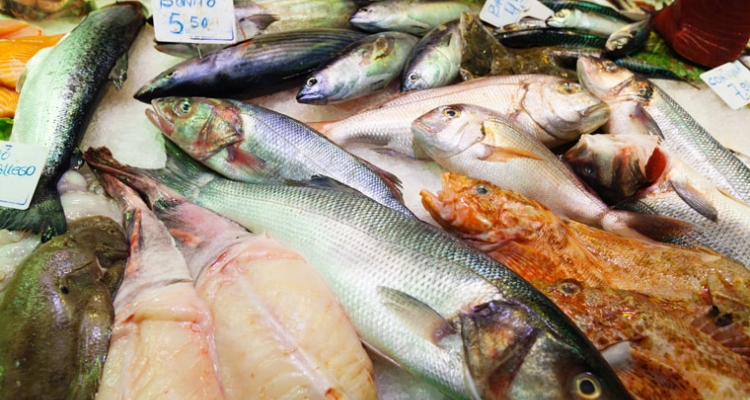 peces-mercado-760