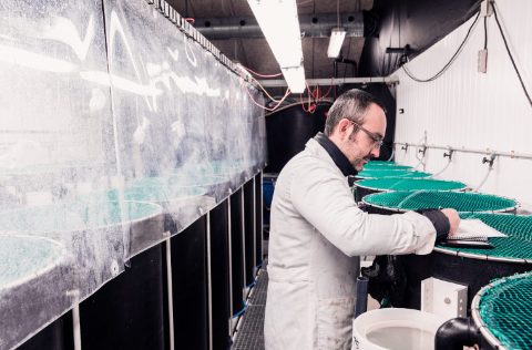 Pedro Gómez Requeni, BioMar Group