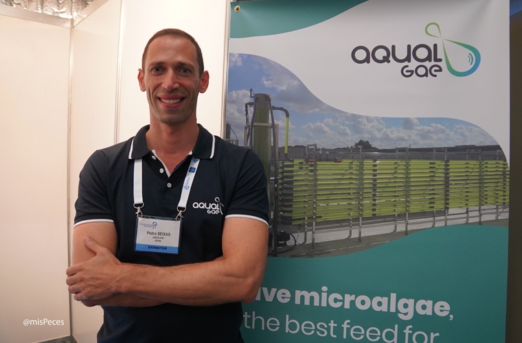 Pedro Seixas (Aqualgae) AE21MAD Pedro Seixas (Aqualgae) AE21MAD