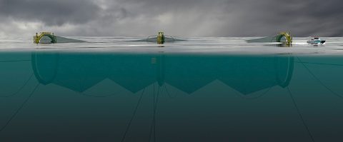 Pelaqua, innovación aguas abiertas para cultivo de salmón Atlántico en Noruega
