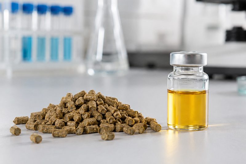 La escasez y el encarecimiento del aceite de pescado impulsan el uso de microalgas para aportar EPA y DHA al pienso