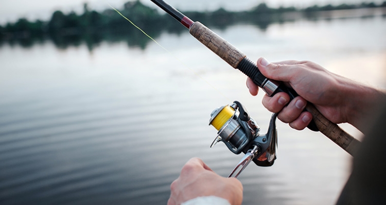 Pesca deportiva Pesca deportiva