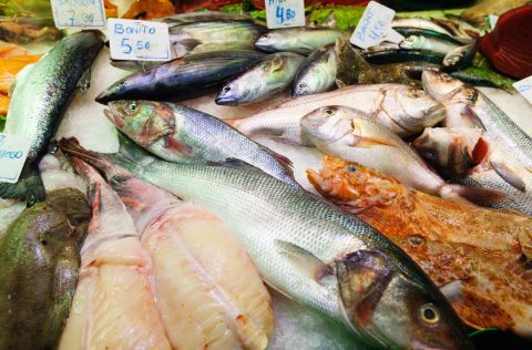 Pescadería en España