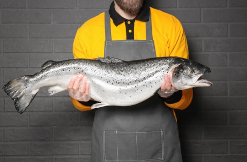 Pescadero con salmón
