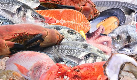 Pescado fresco mix