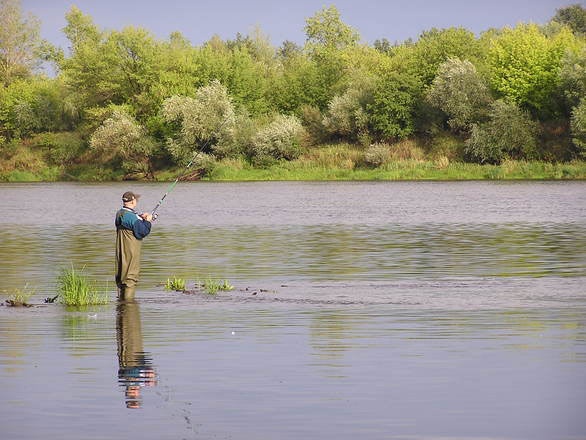 Pescador deportivo trucha