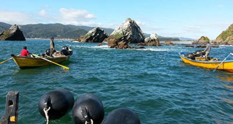 pescadores-artesanales-mehuin