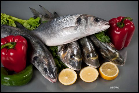 pescados-estero-bodegon