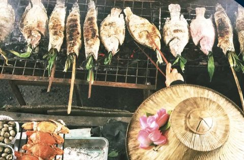 Pescados parrilla informe