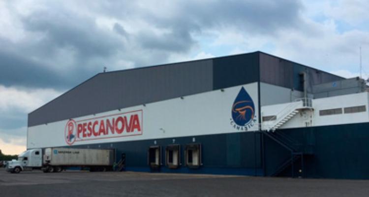 pescanova-camanica-centroamerica