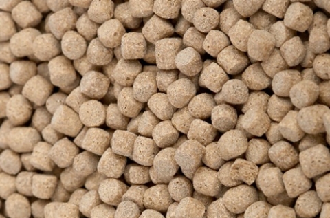 pienso-acuicultura-pellets