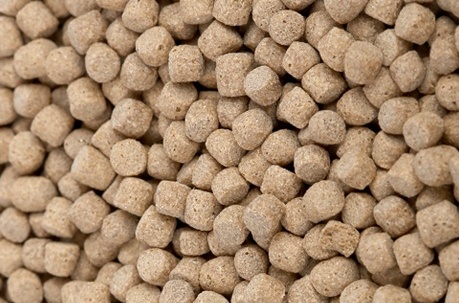 pienso-acuicultura-pellets