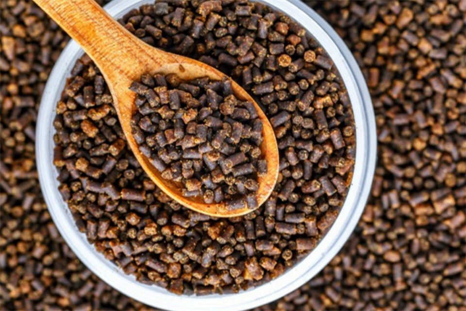 Pienso de proteína unicelular