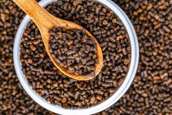 Single-cell proteins gain ground in aquafeed strategy