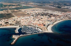 Piscifactoría Albadalejo autorizada para producir 3 900 toneladas de doradas y lubinas en Pilar de la Horadada