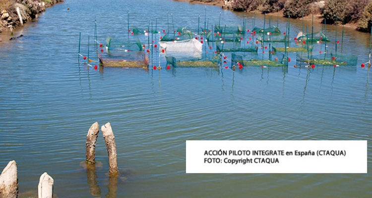 piltot-action-integrate-ctaqua