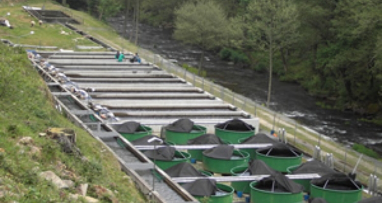 Piscifactoría de ATRUGAL