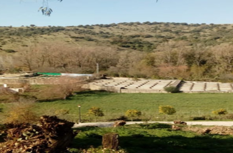 piscifactoria-el-bosque-tiziana-pacchiarini piscifactoria-el-bosque-tiziana-pacchiarini