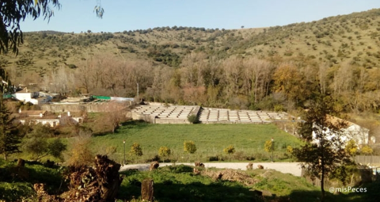 piscifactoria-el-bosque-tiziana-pacchiarini