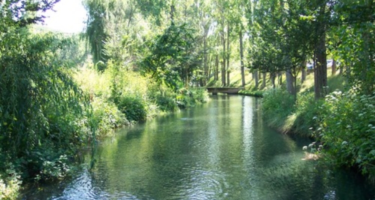 piscifactoria-escaleruela-teruel