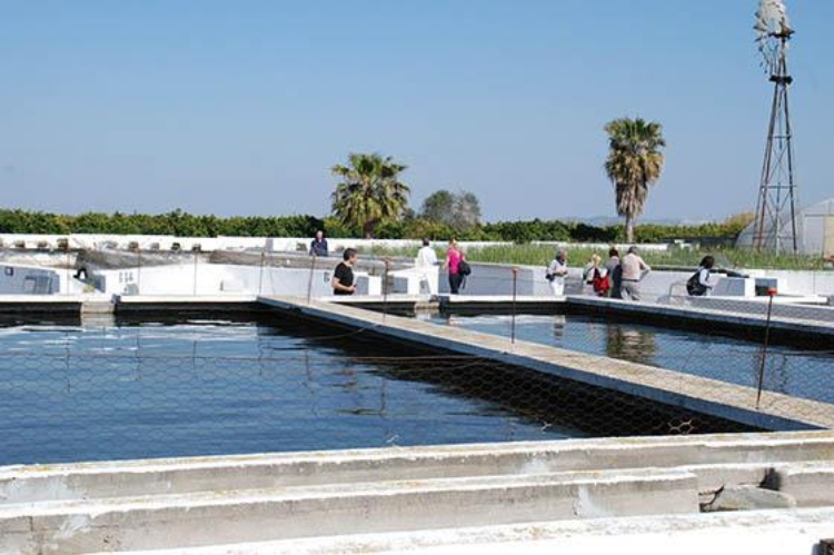 Piscifactoría Ponlinya de Xunquer