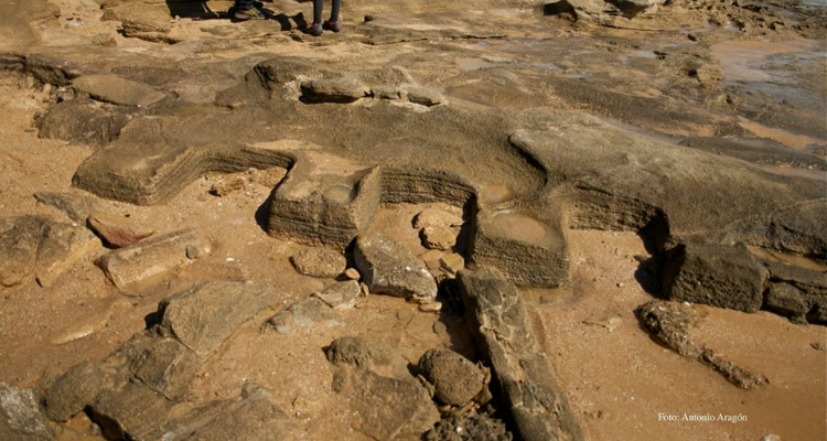 piscifactoria-romana-barbate
