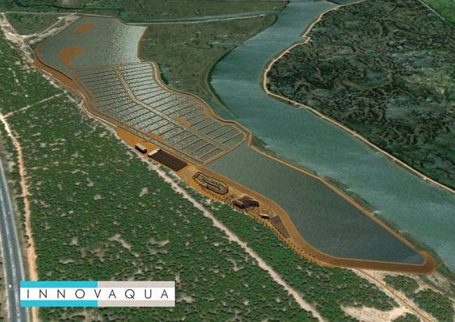 piscifactoria-salinas-astur