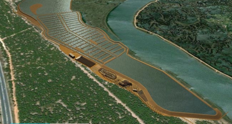 piscifactoria-salinas-astur
