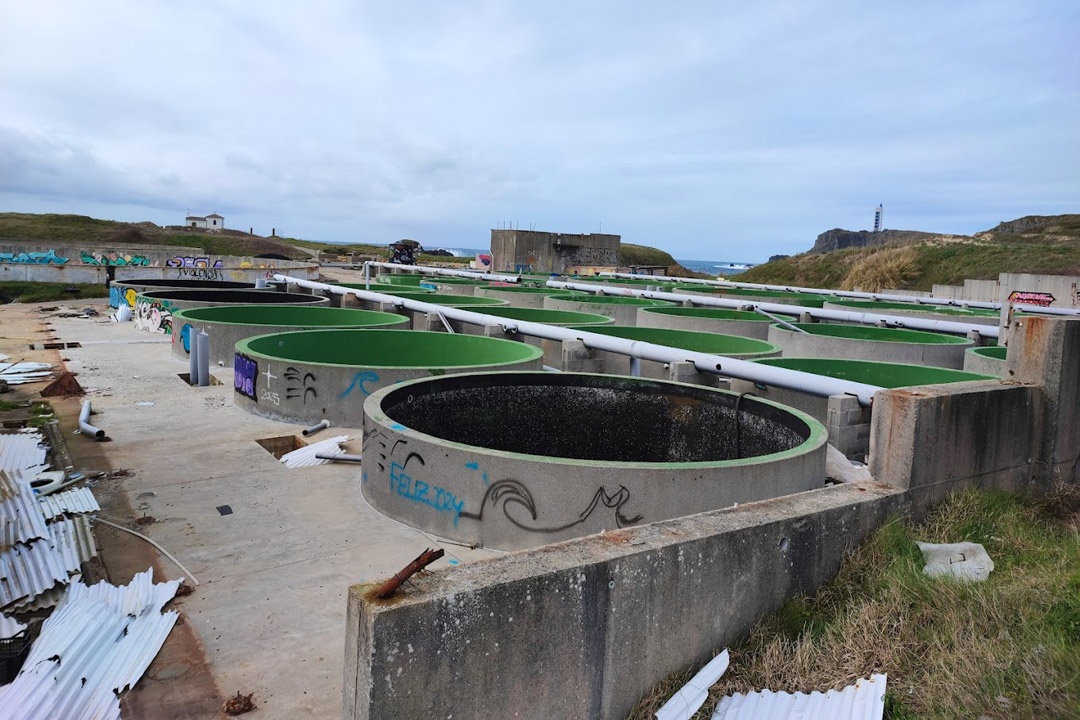 Piscifactoría de Valdoviño, Meirás