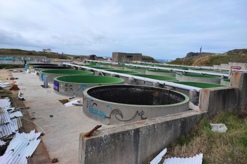 Piscifactoría de Valdoviño, Meirás