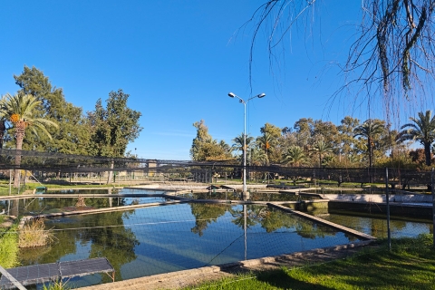 Piscifactoría Vegas del Guadiana - Badajoz, Extremadura