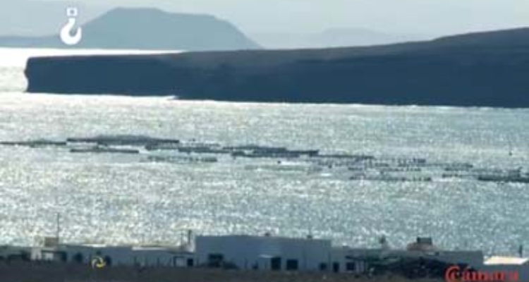 piscifactorias-atlantico-arrecife