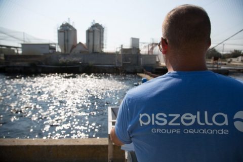 Piszolla apuesta por procesar más trucha en España para capturar mayor valor añadido