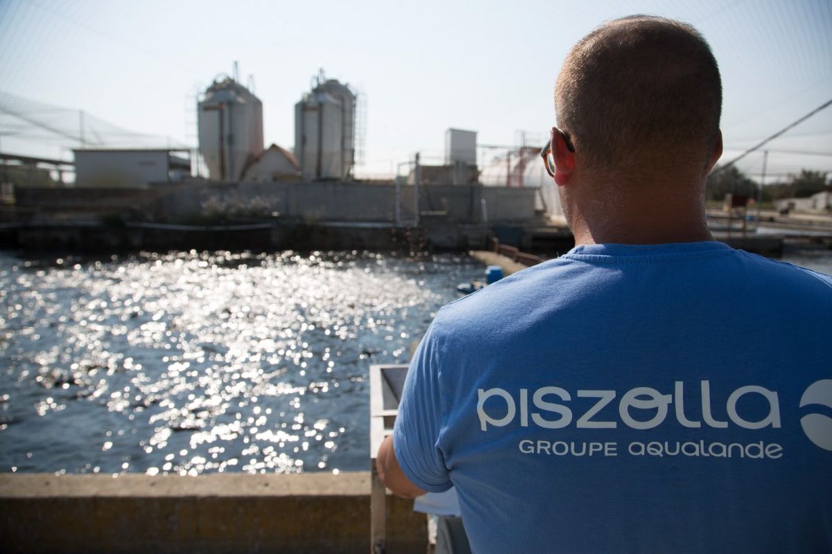 Piszolla | Aqualande