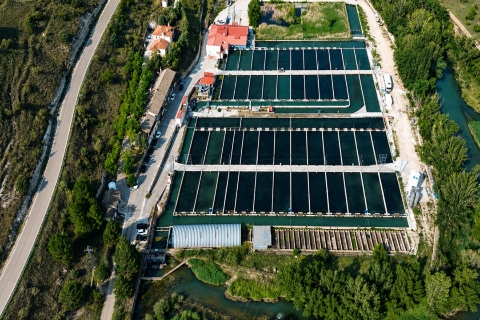 Piszolla, instalaciones en Illana, Guadalajara