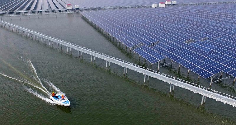 placas-solares-acuicultura-china