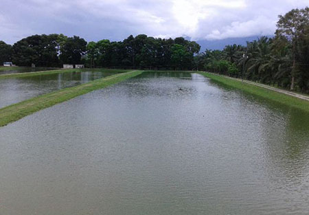 plano-general-finca-aquanor