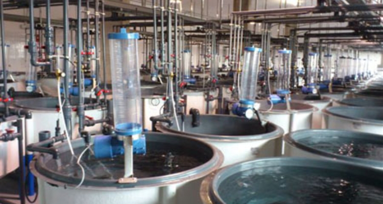 Laboratorios Parque Tecnológico Taliarte